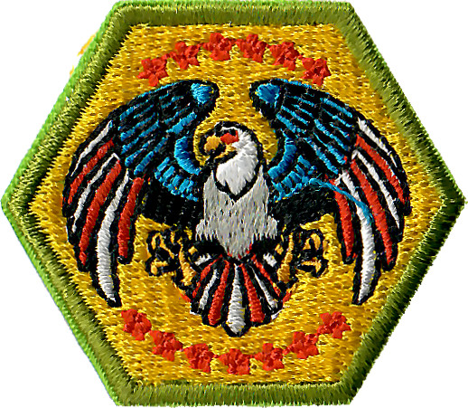 Test Lab Merit Badge - MILITARY SERVICE AND VETERANS patch - 1-1/2 inch