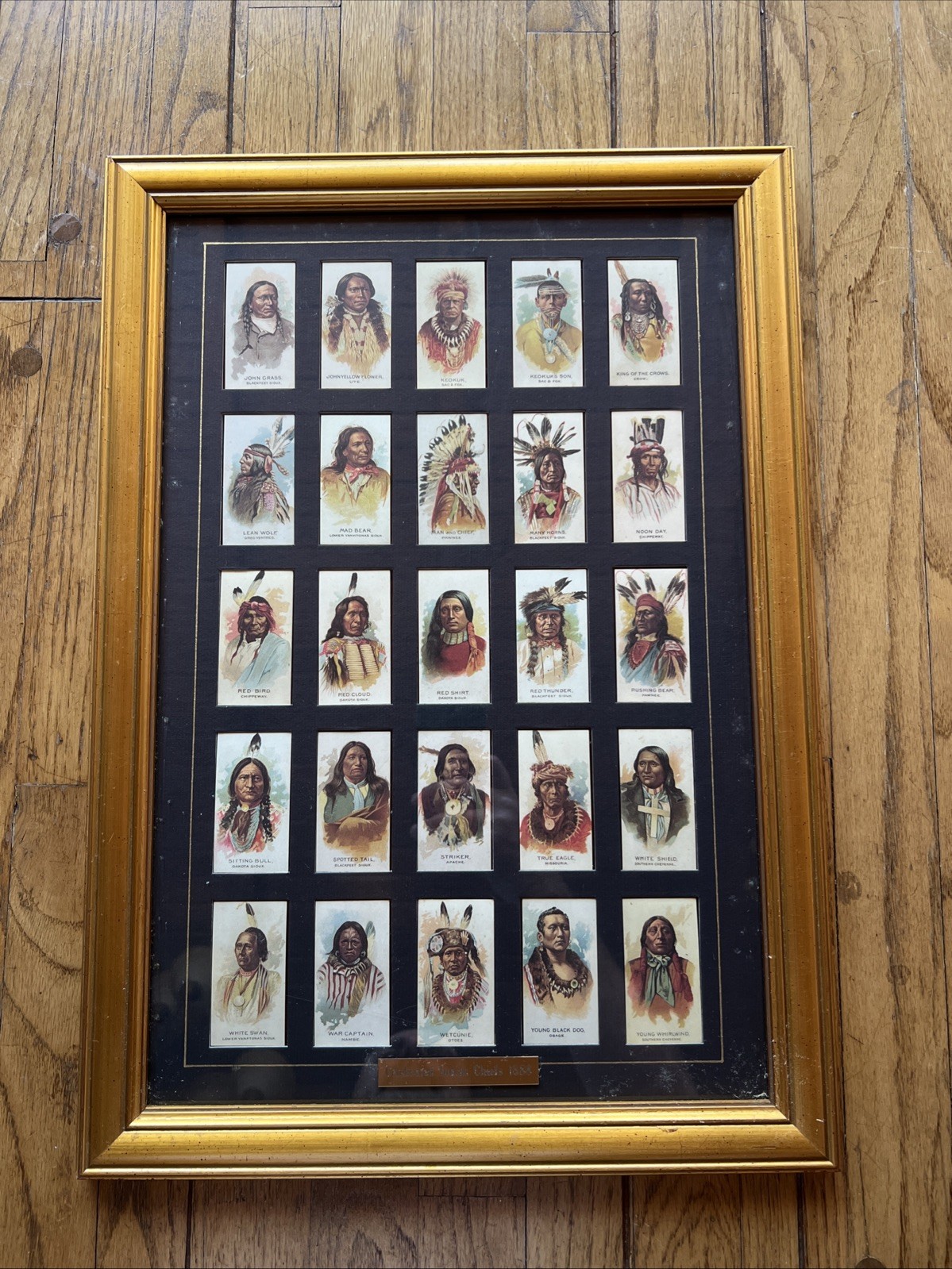 Rare 1888 Celebrated Indian Chiefs Cigarette Cards Vintage Reprint Framed