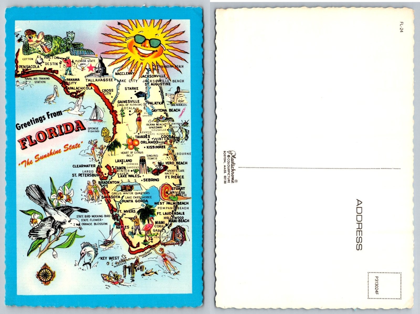 Continental Florida Map Illustrated Postcard
