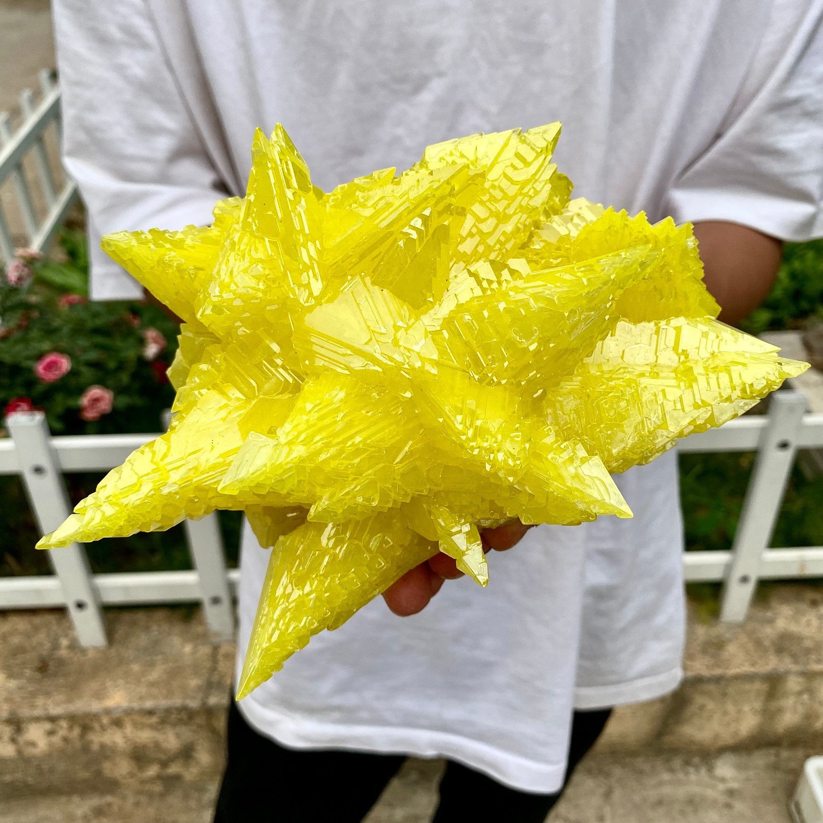 2LB Rare yellow sulfur quartz crystal mineral specimen