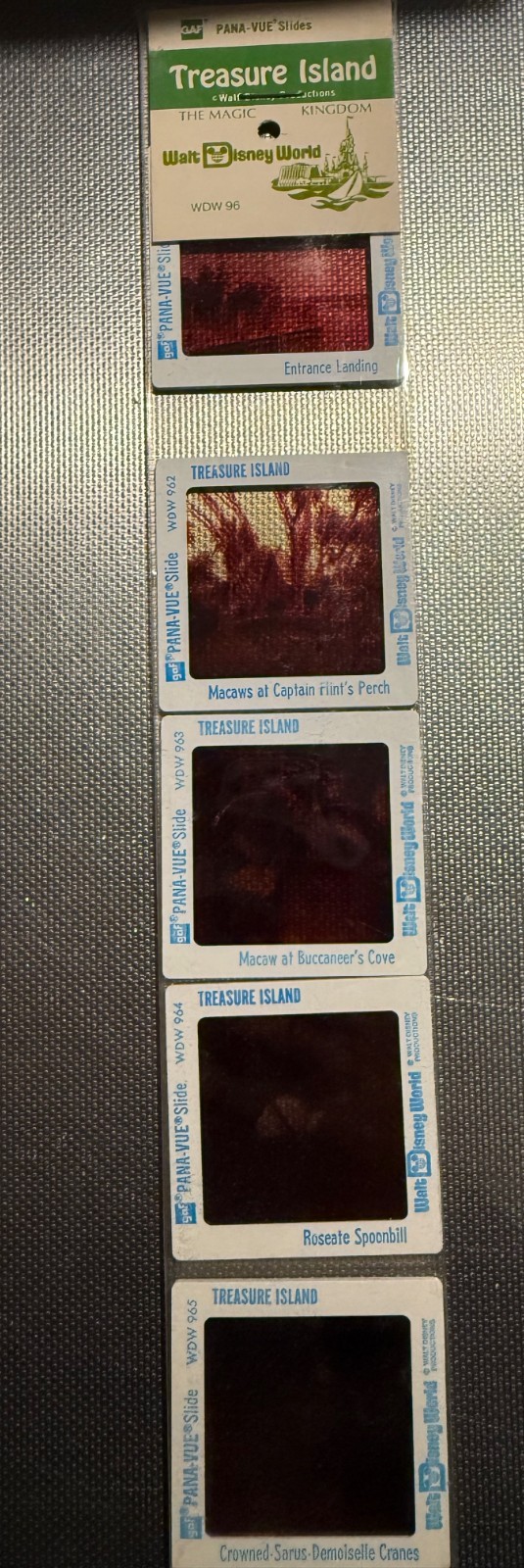 DisneyWorld Pana Vue Treasure Island Slides - Vintage but New