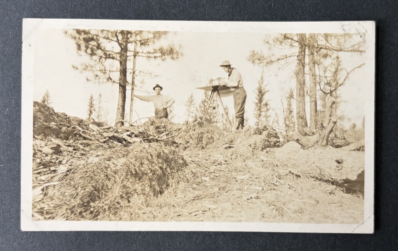 Whitman National Forest Timber Survey Antique Snapshot Photo Oregon