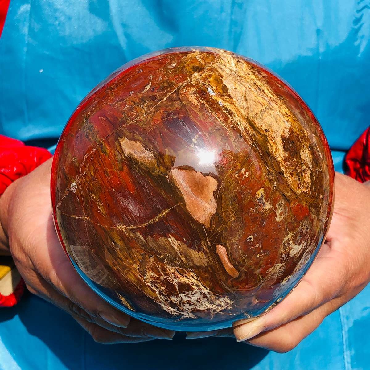 5.3LB Large Natural Petrified Wood Crystal Fossil ball Specimen Healing