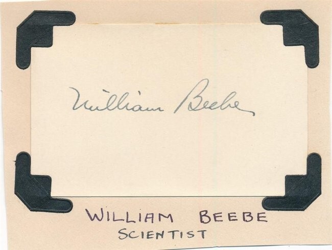 William Beebe-Vintage Signed Card in the 1930s (Scientist, Explorer) William Beebe-Vintage Signed Card in the 1930s (Scientist, Explorer)