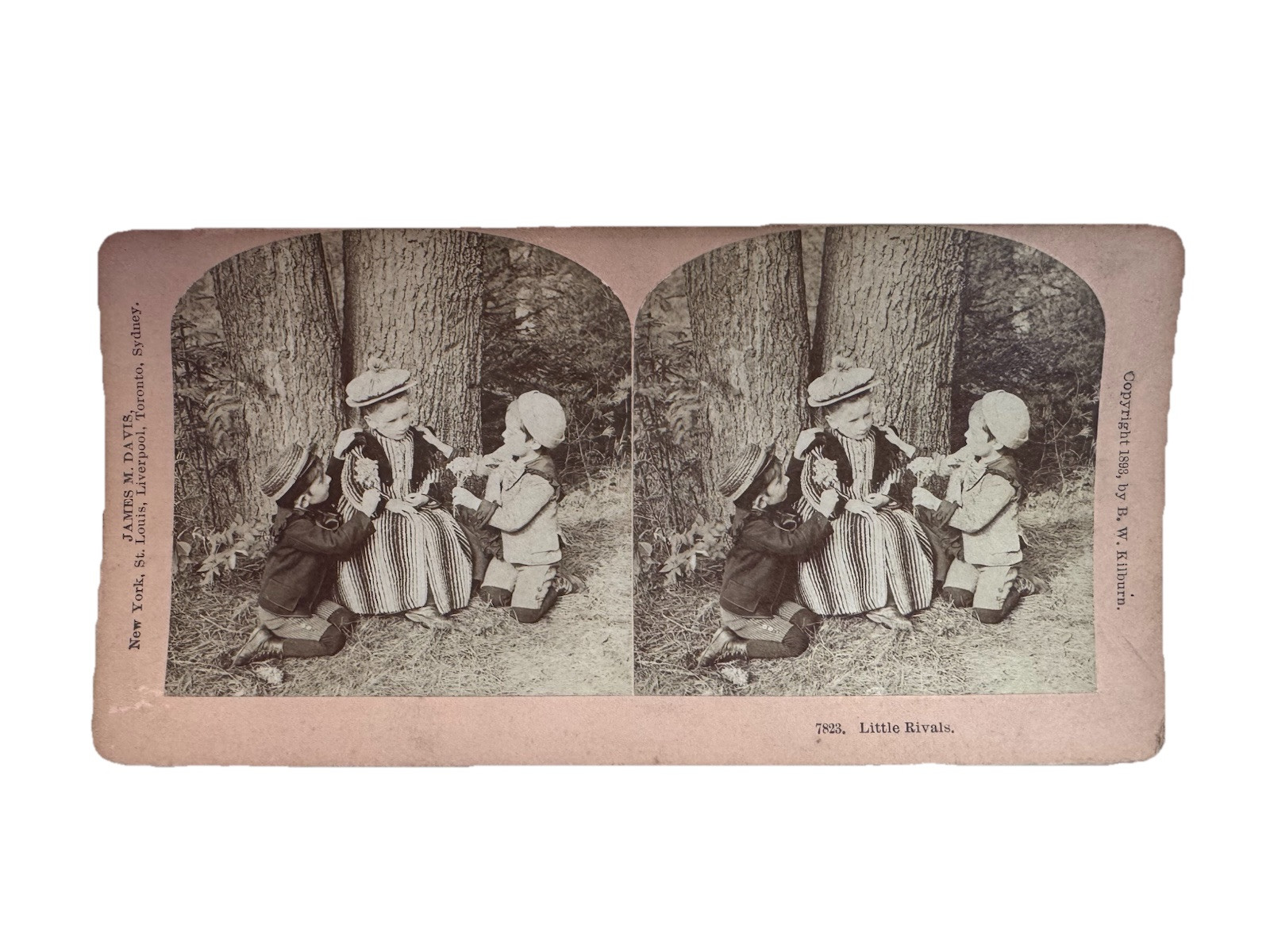Stereoview Card Little Rivals Children Courting Kilburn 1893 StereoptIcon