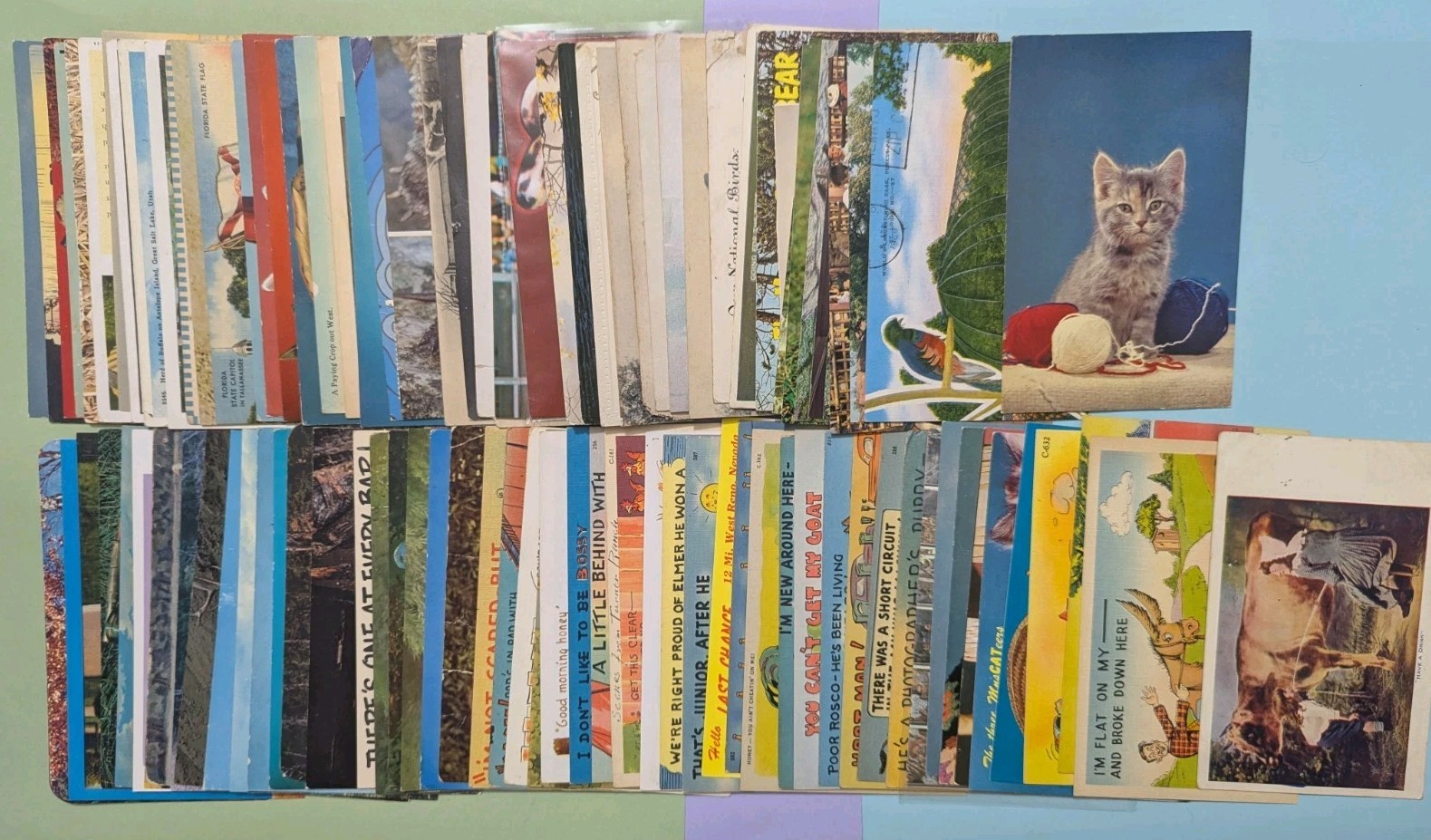 Lot of 100 Vintage Animal Postcards - Lithos, Linens, Chromes