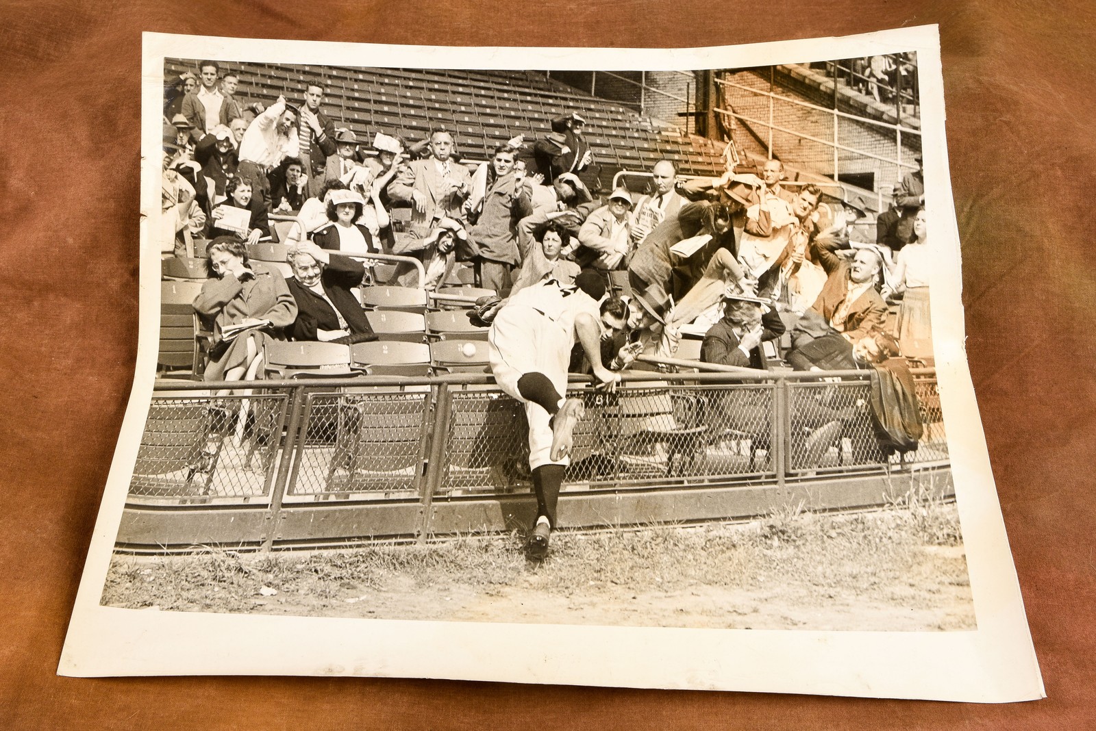 Baseball Fans Scramble for Foul Ball 14¼x12 1947 AP Wire Photo V33