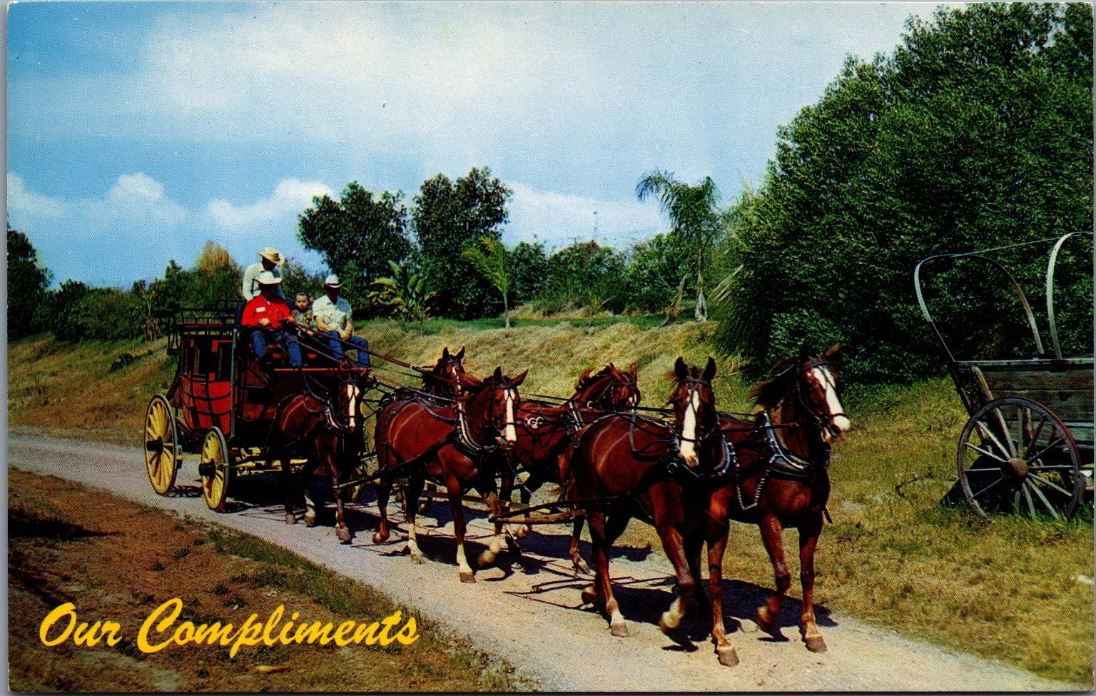 Knott's Berry Farm Stagecoach Postcard 1982 Buena Park CA Red Nickell Photo