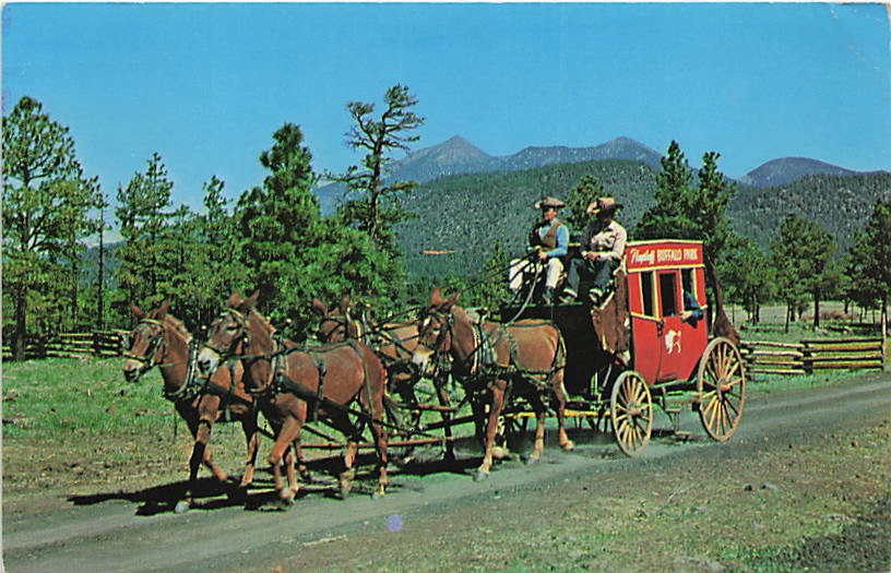 Postcard AZ: Stagecoach Ride, Buffalo Park, Flagstaff, Arizona 1966