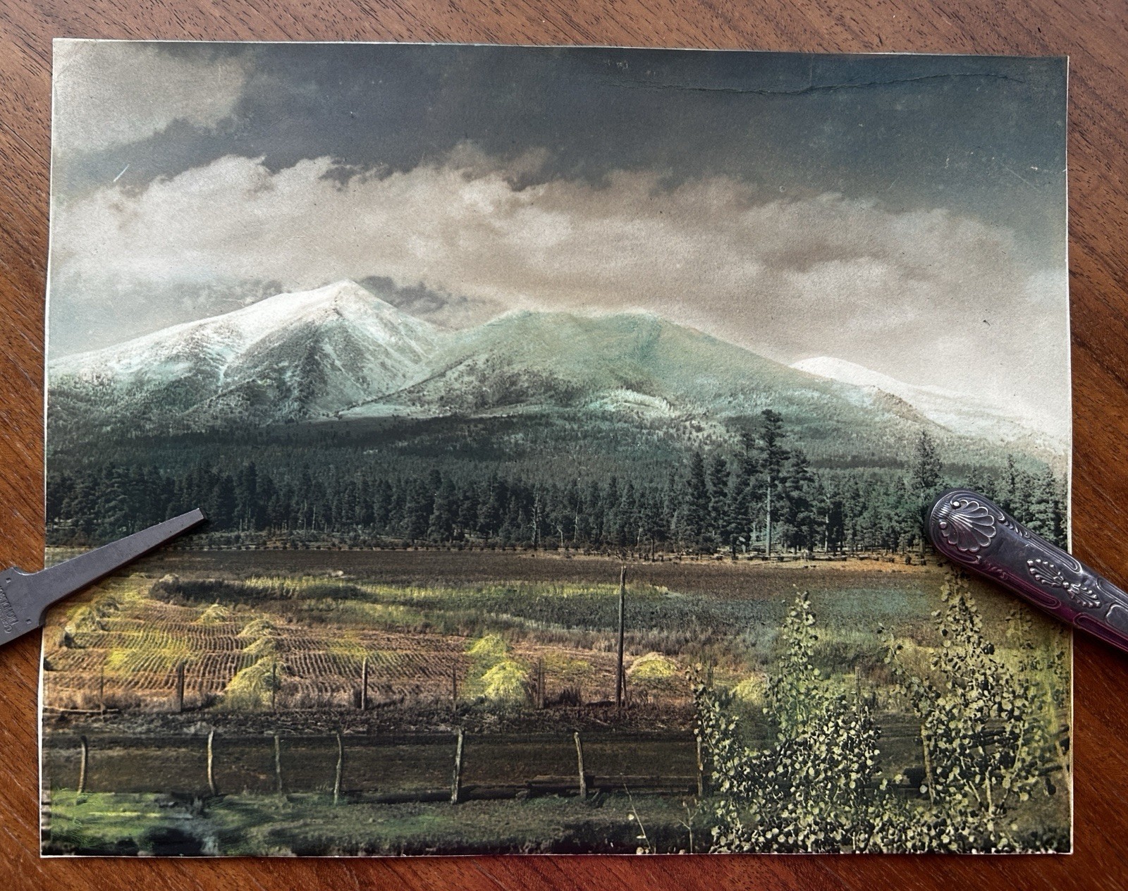 VTG Oregon Cascade Mountains Ranch Snow Peaks Hand Tinted Large Landscape Photo