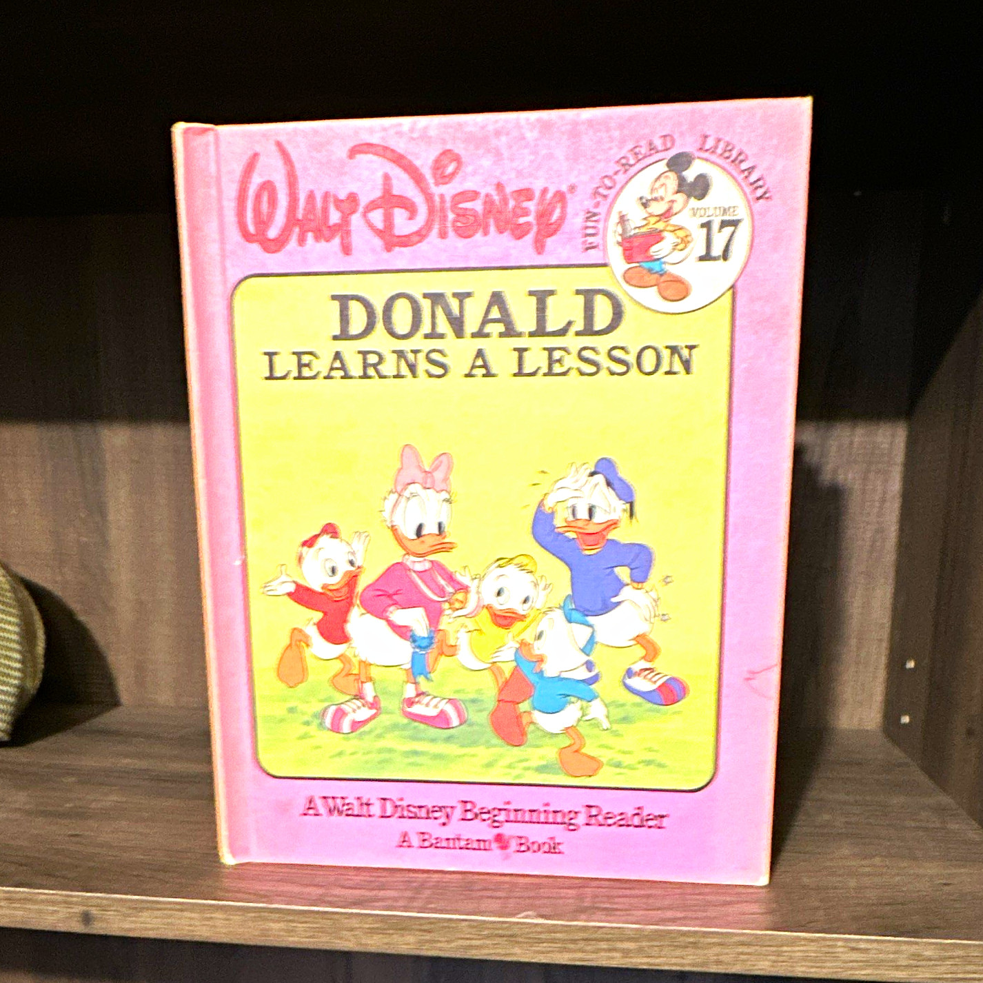 80s Vintage Walt Disney Donald Duck Learns a Lesson Fun-to-Read Library Vol. 17