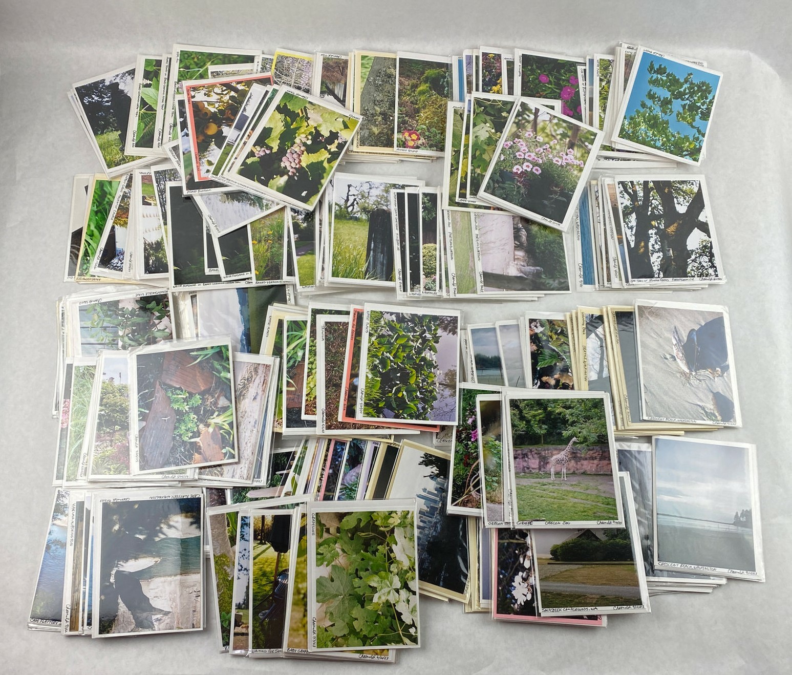 Lot of 200+ Oregon around Portland Nature Photos Semi-Professional Photographer Lot of 200+ Oregon around Portland Nature Photos Semi-Professional Photographer