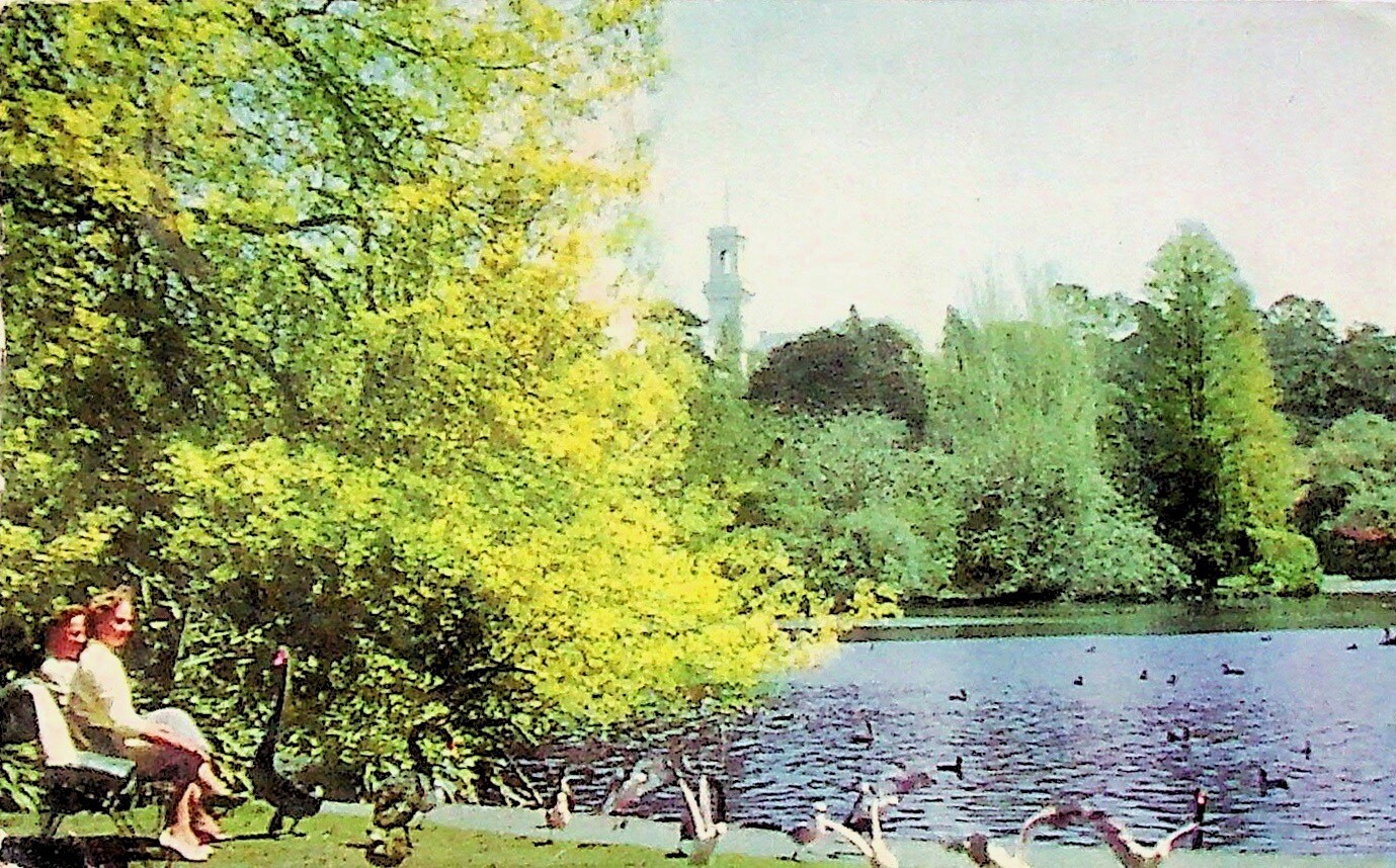 VINTAGE POSTCARD MELBOURNE BOTANIC GARDENS AUSTRALIA SCENIC VIEW POSTED