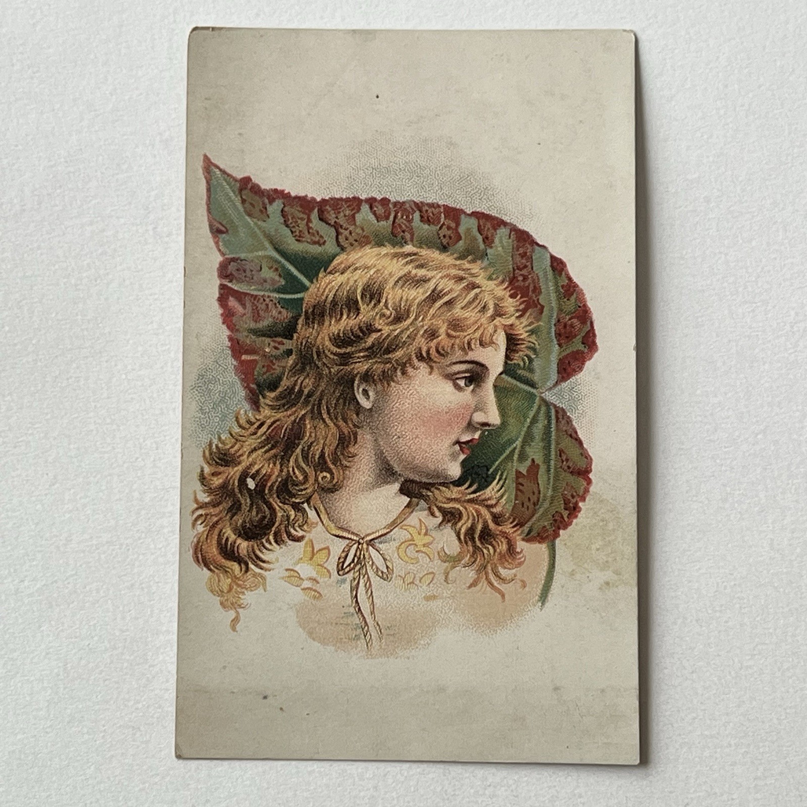 Antique Victorian Trading Card Advertisement Rubert Photograph Studio Chicago IL