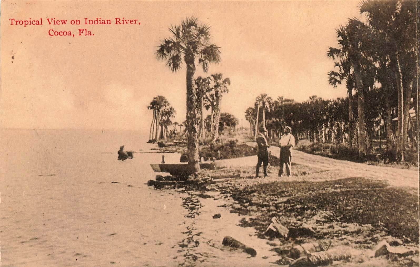 FLORIDA PHOTO POSTCARD: TROPICAL VIEW ON INDIAN RIVER, COCOA, FL