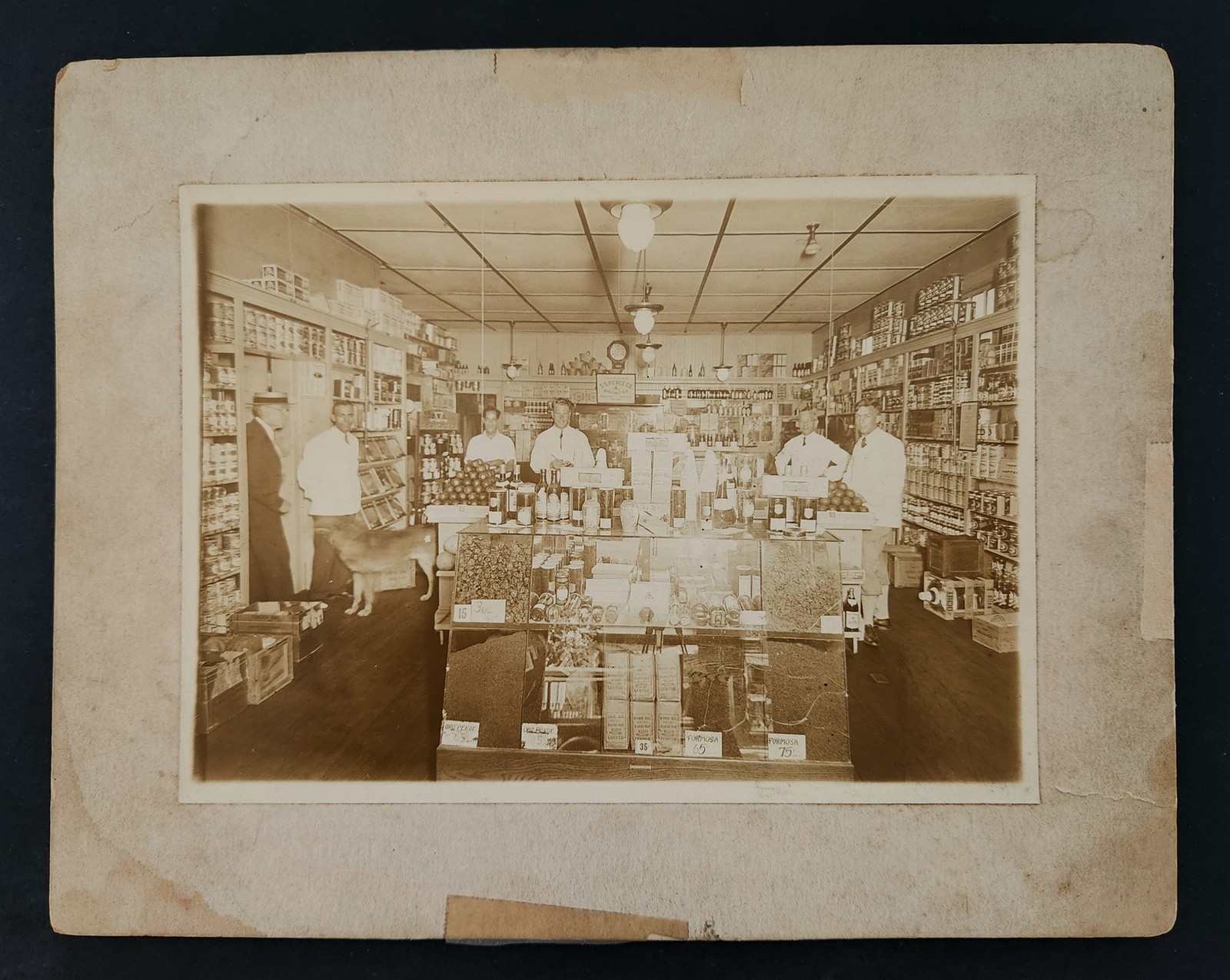 antique BRISTOL ri GROCERY STORE PHOTO occupational workers interior dog