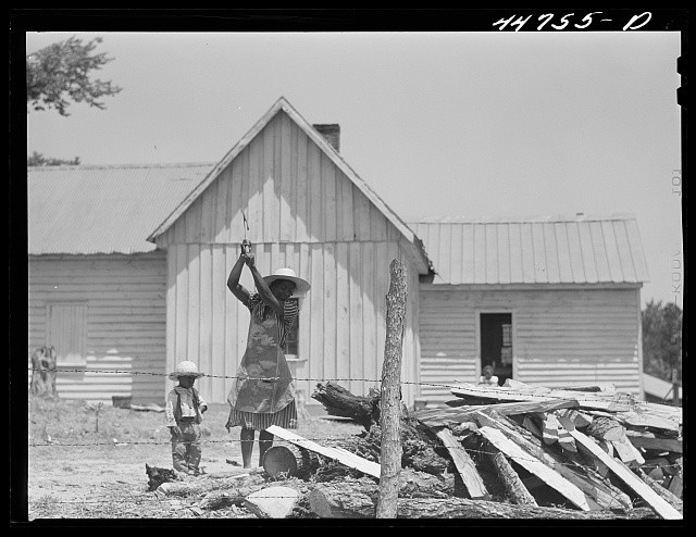 Greene County Georgia Willie Lewis 1941 Mrs Willie Lewis Chops Wood Farmhouse