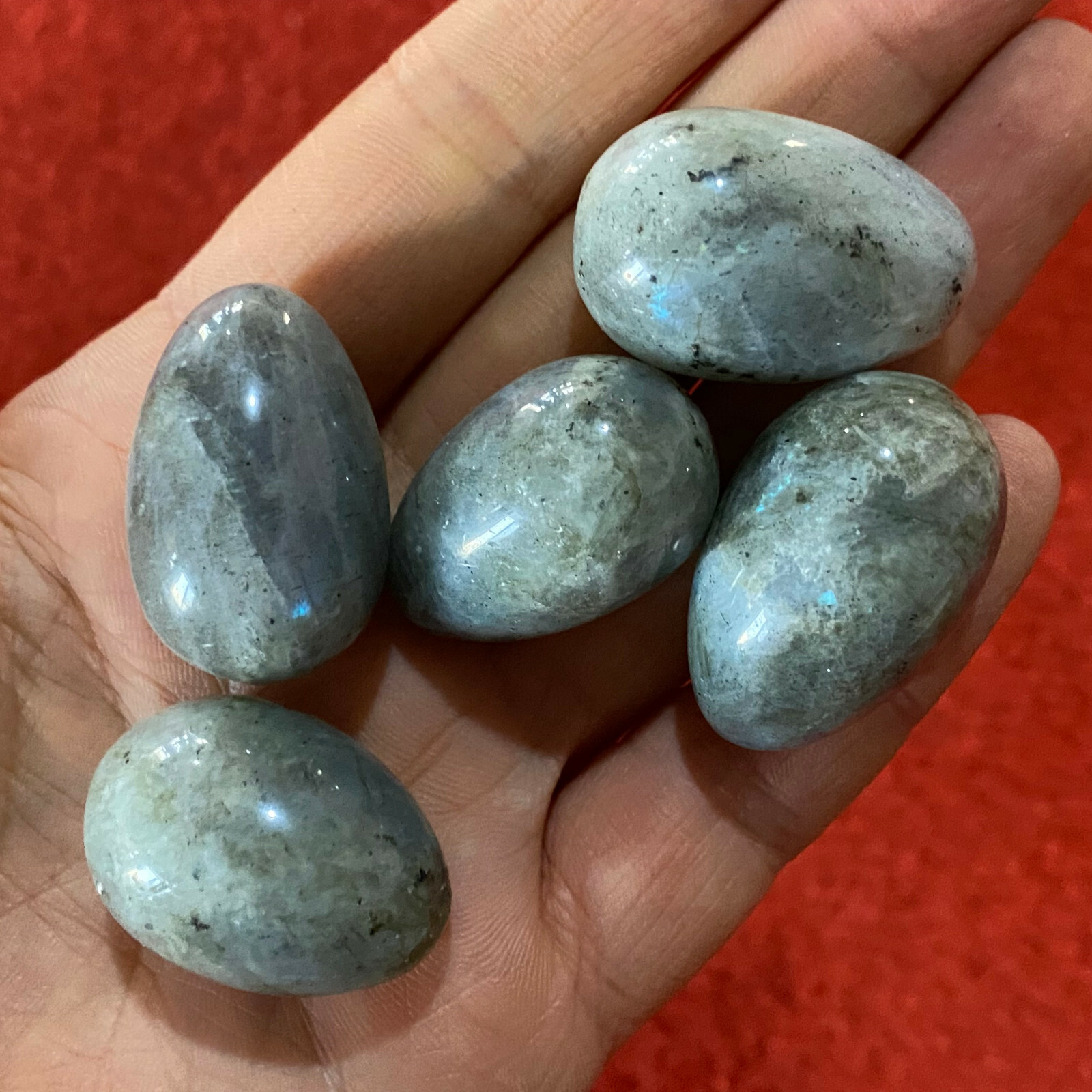  Natural labradorite quartz egg hand-polished specimen reiki healing 5PC
