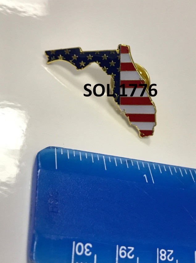 Florida State Lapel Pin FL US Flag American USA - Similar to Desantis