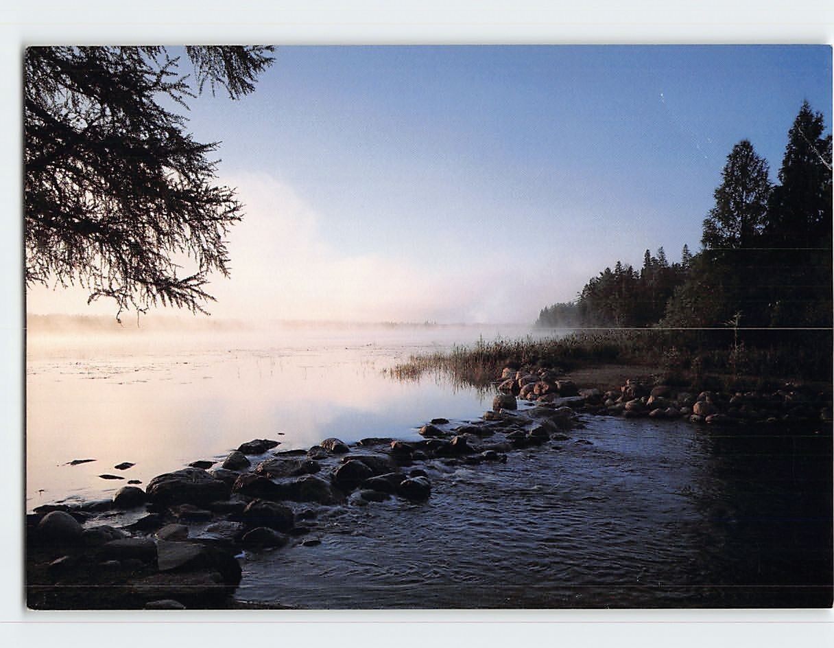 Postcard Mississippi Headwaters Itasca State Park Minnesota