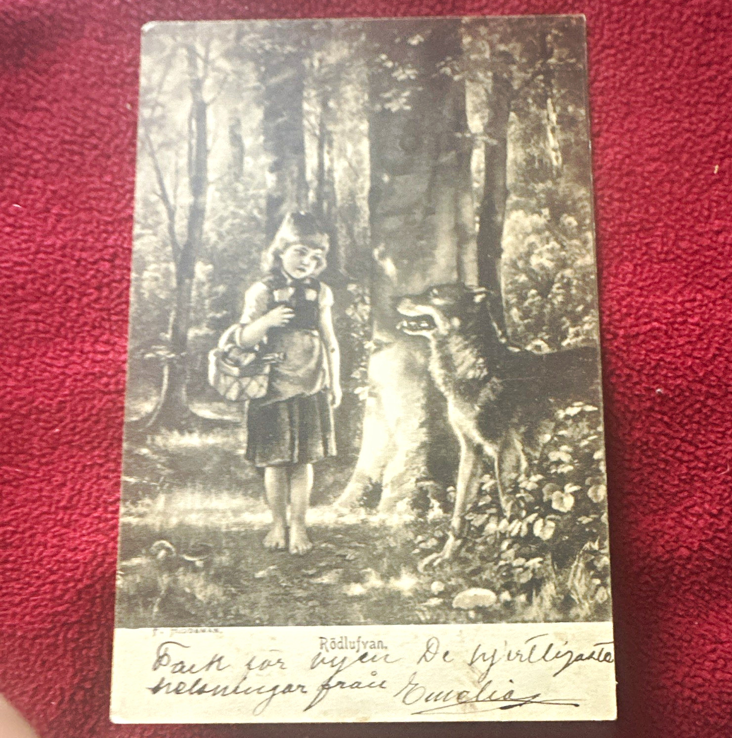 Vtg Postcard Little Red Riding Hood Forest Fantasy Lithograph 1901