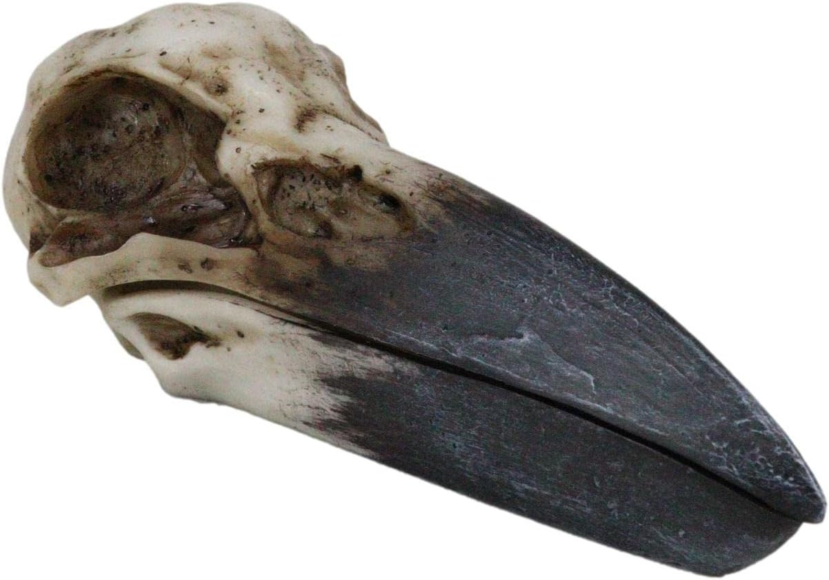 Ebros Bad Omens Witchcraft Gothic Raven Crow Skull Decorative Jewelry Box 8.25\