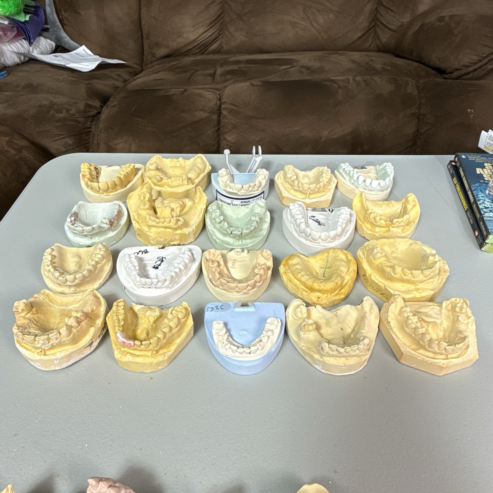 20 Dental Odd Plaster Real Tooth Teeth Molds Dentist Cast Impressions Vintage