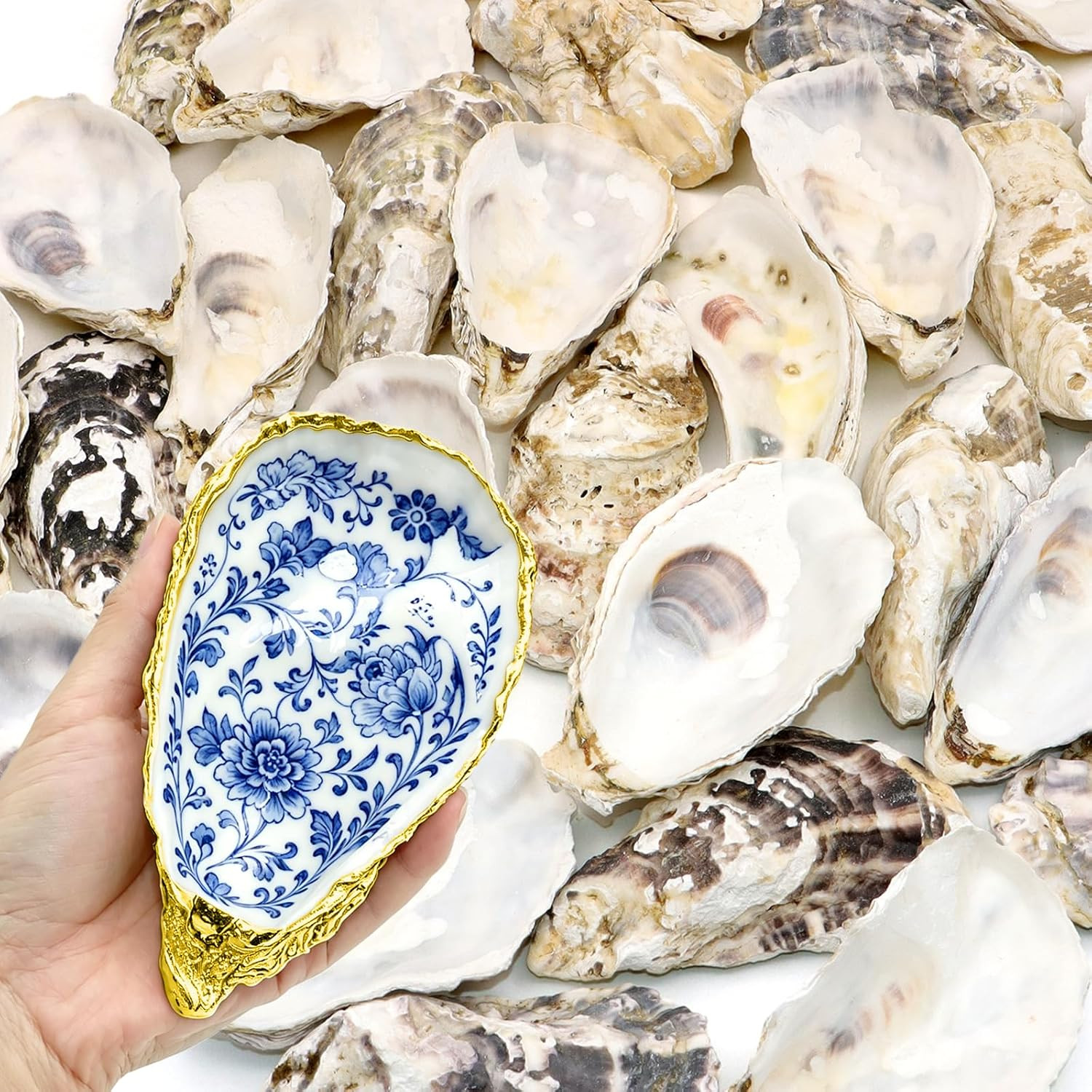 30PCS Natural Oyster Shells for Crafts, 5\