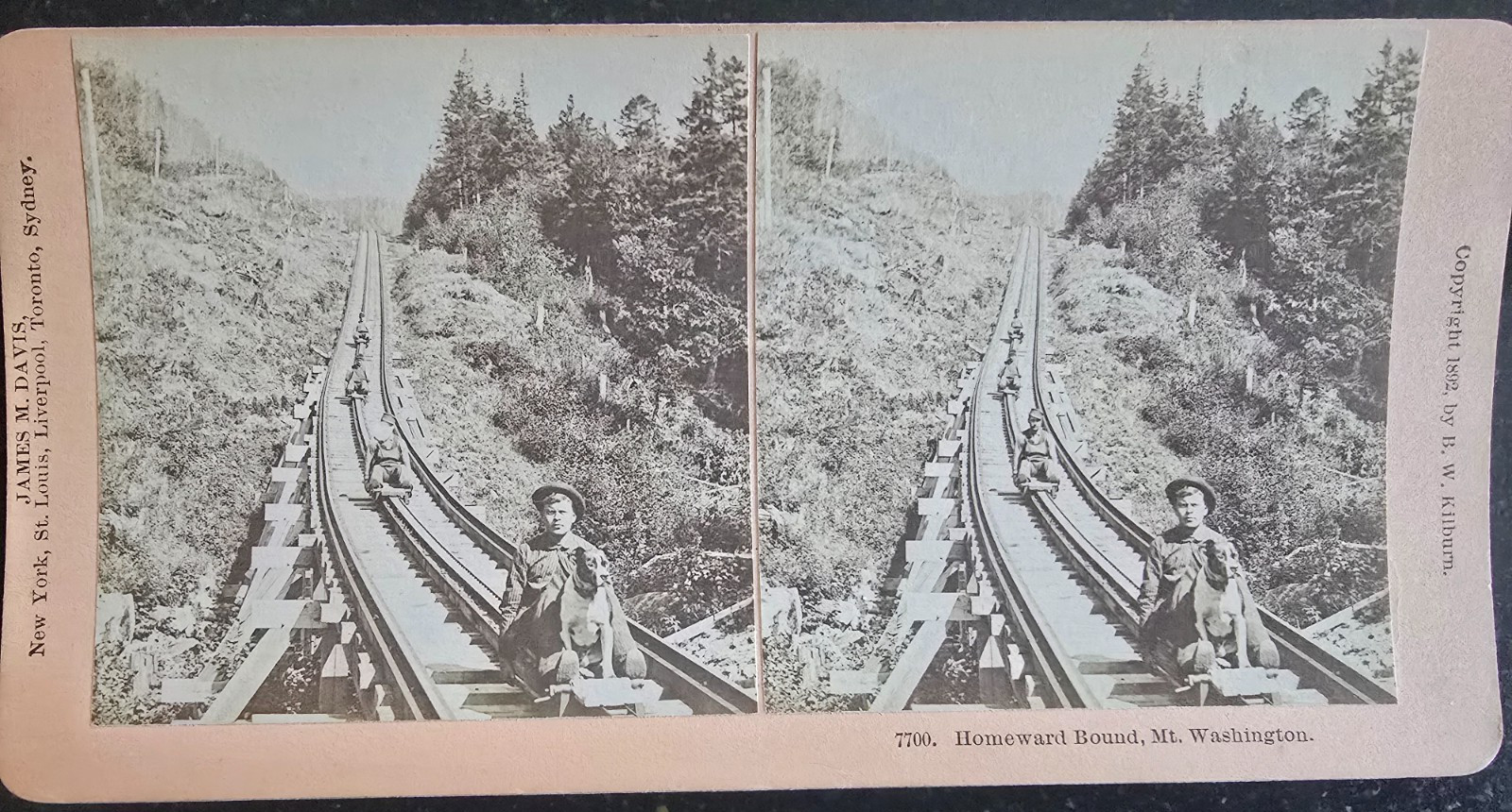 VTG Stereo View, 1892, Track Inspector With Dog, Mt. Washington, NH Railway