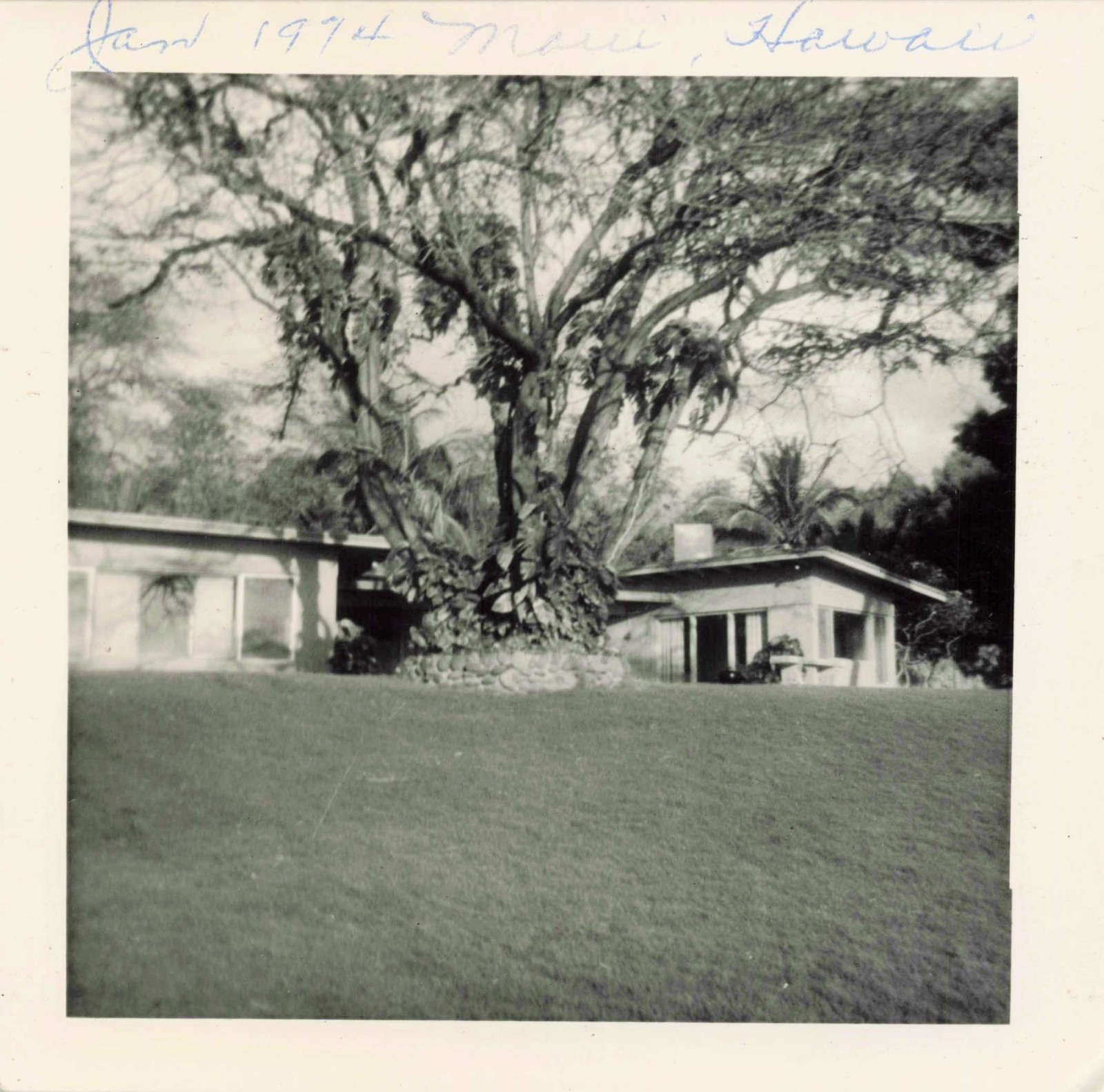 VTG Photo 1974 Maui Hawaii Vacation Cabins Oceanside