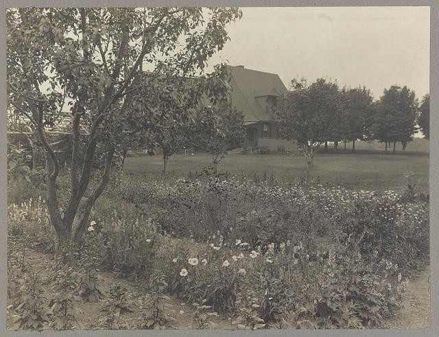Sagamore Hill Oyster Bay NY Theodore Roosevelt Home Garden Stable c1905