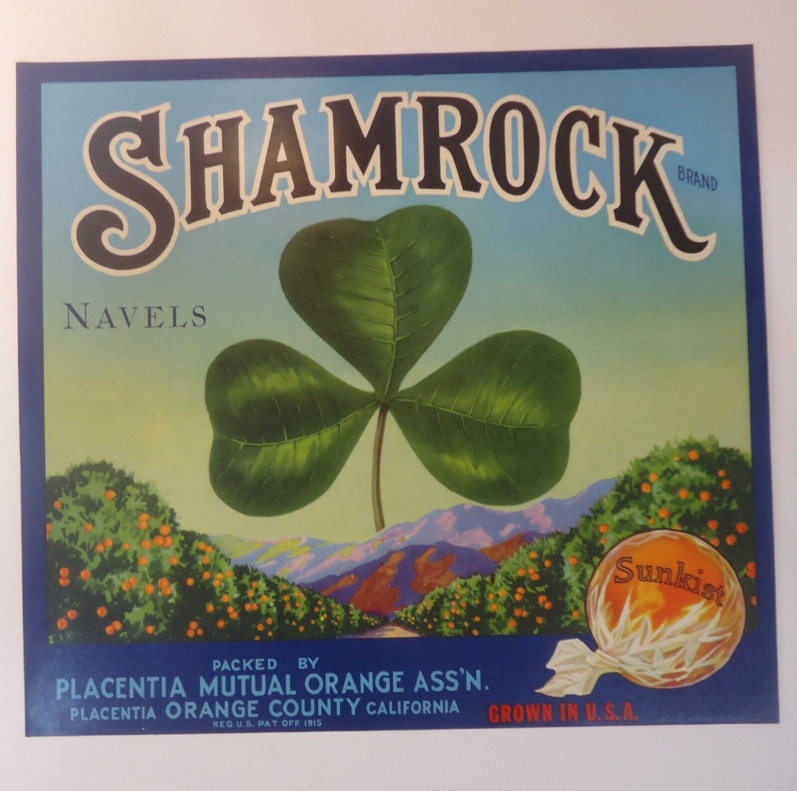 Lot of 10 Vintage ORIGINAL Crate Labels Shamrock Brand Sunkist Oranges Lot 37