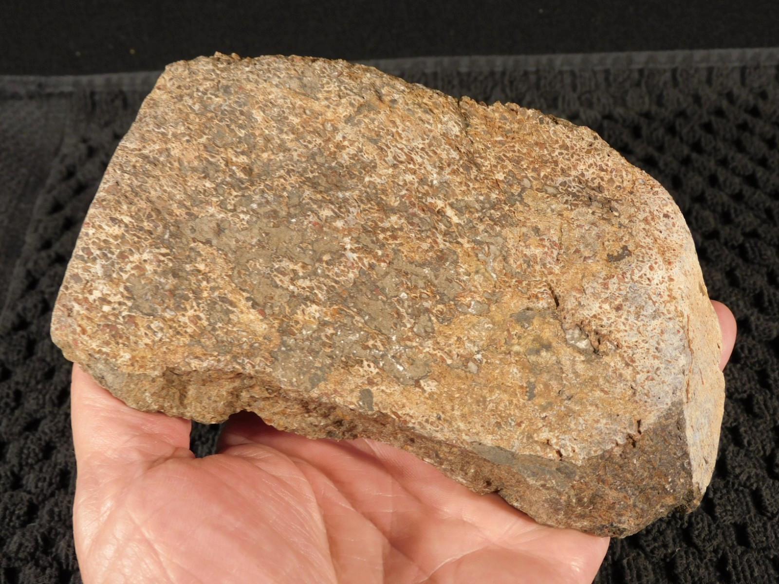 190 Million Year OLD DINOSAUR Bone FOSSIL From Jurassic Utah 891gr
