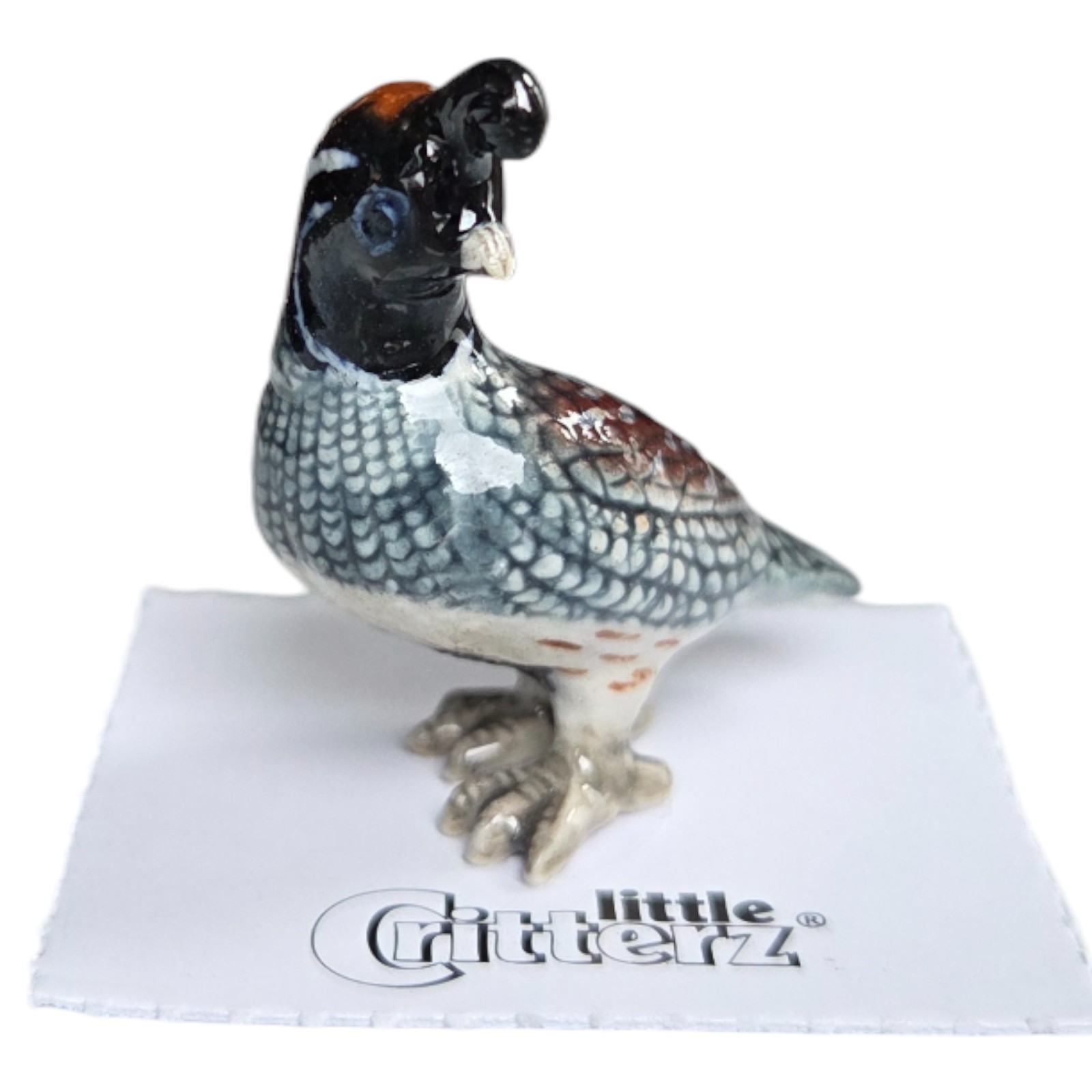 LITTLE CRITTERZ Gambel\'s Quail \