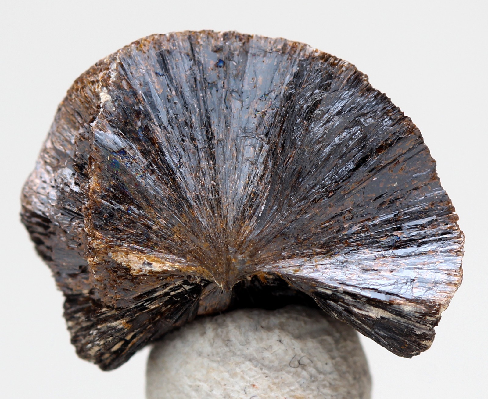 GOETHITE Crystal Mineral Specimen Natural Cluster PARK COUNTY COLORADO