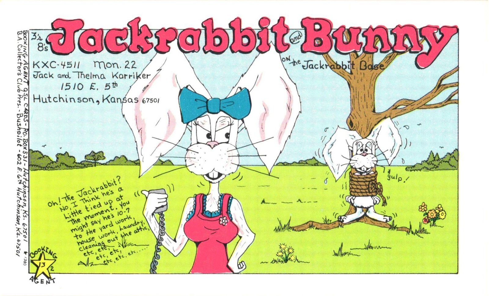 Hutchinson KS Jackrabbit Bunny CB Radio QSL Card Postcard 1970s Unused