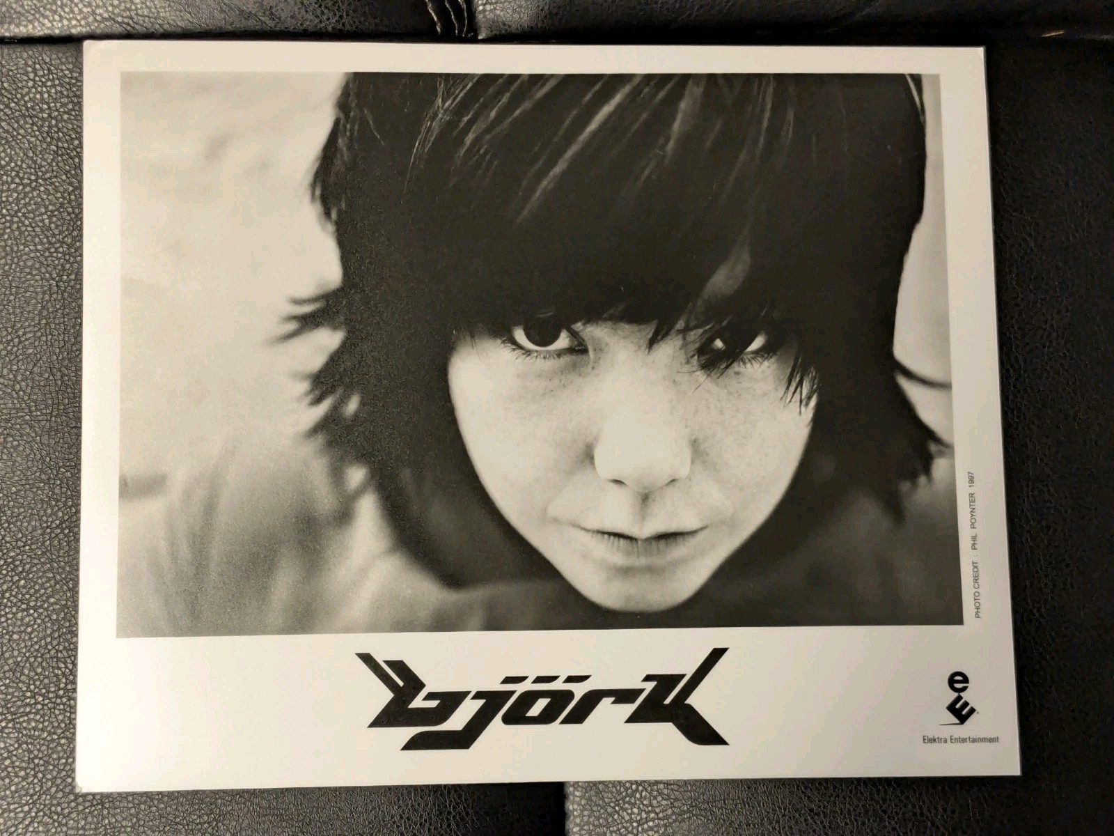 Bjork Vintage 1997 8x10 Elektra Entertainment Promo Photo By Phil Poynter