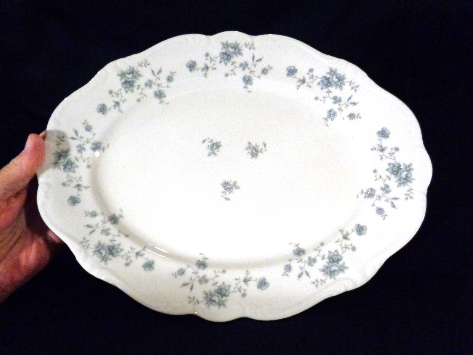 Johann Haviland Bavarian Blue Garland 13\
