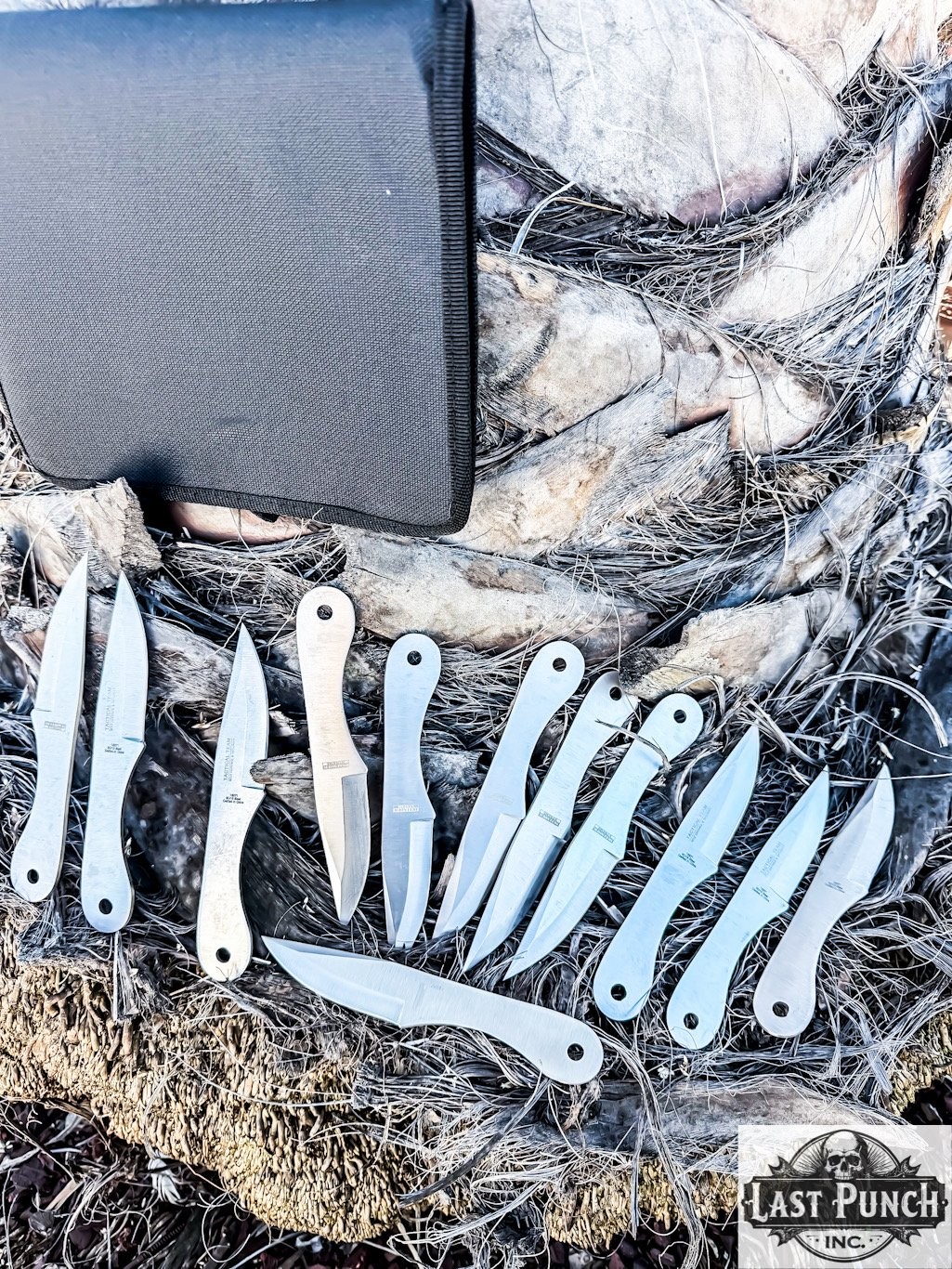 12 Pc 6\