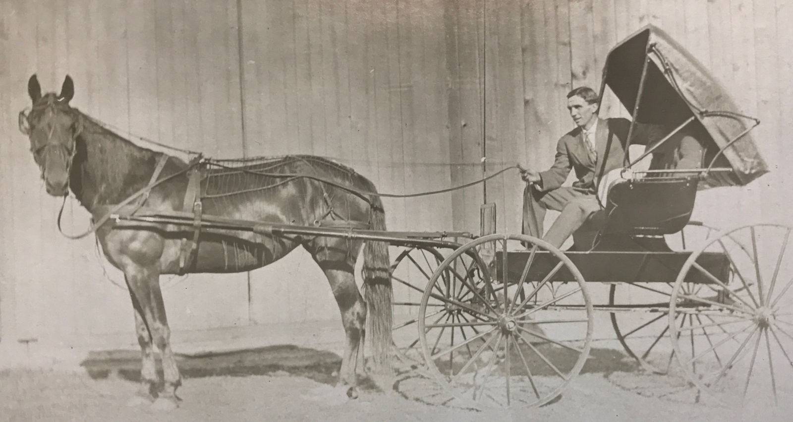 Antique Vtg RPPC Horse Drawn Buggy Man Hair Fashion Id’d Roy Thompson 1909 #258