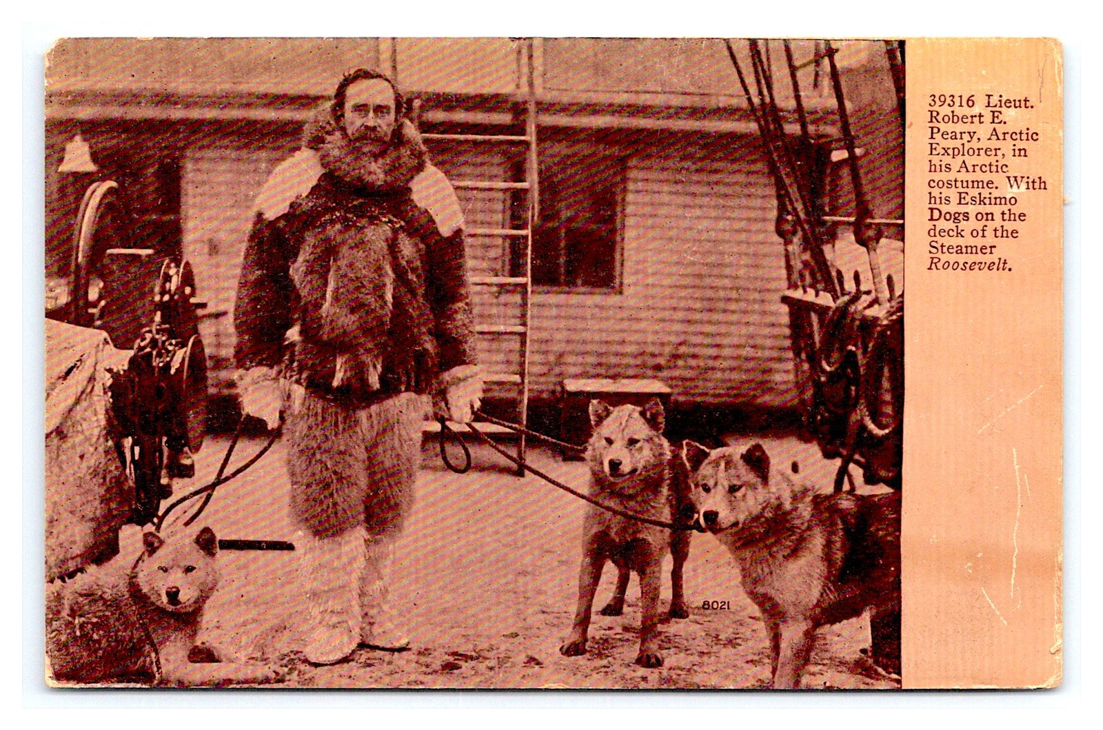 Artic Explorer  ROBERT PEARY w sled Dog Huskies on STEAMER ROOSEVLET