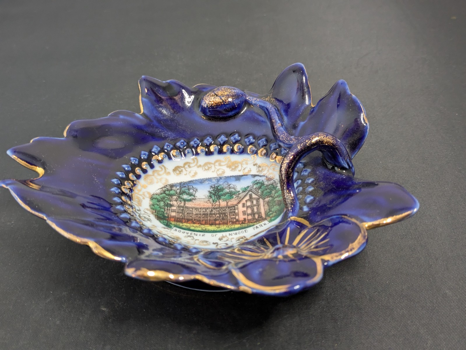 Vintage LINWOOD PARK, Vermilion, OHIO Souvenir LAKE ERIE Trinket Dish Vintage LINWOOD PARK, Vermilion, OHIO Souvenir LAKE ERIE Trinket Dish