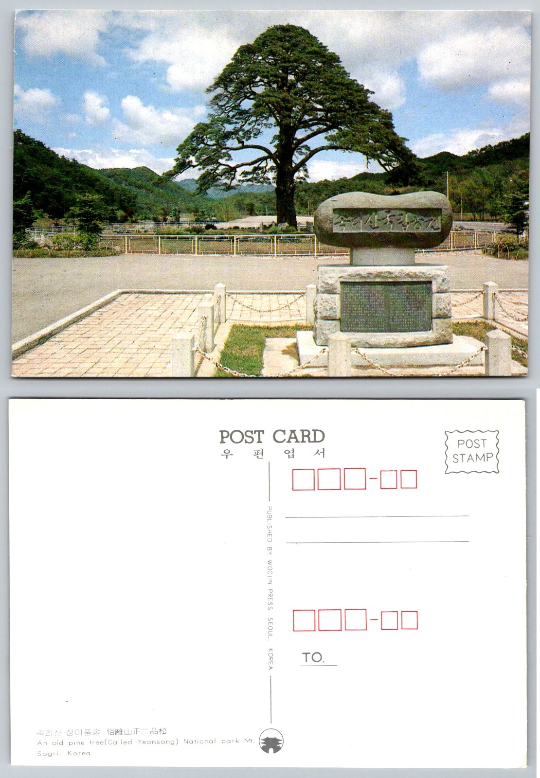 Continental Mt. Sogri Korea Old Pine Tree Monument Postcard