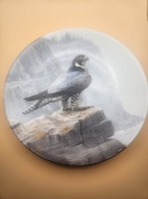 PEREGRINE FALCON COLLECTOR PLATE 8.5