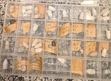 42 Civil War Bullets - Minie Balls and Musket Balls and Shot -- Likely Pa. dug picture