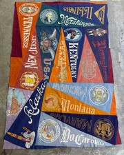 Early 1900s Univ. Of Illinois Felt Pennant Blanket w/ Other Pennants. 4ft X 70” picture