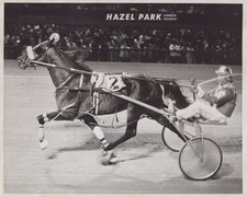 Call Money - Hazel Park Raceway - Sattleberg 1977 - Harness Racing Photo picture