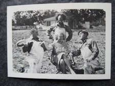 1985 FTCC The Three Stooges Trivia Backs #38 Moe Larry Curly Trading Card picture