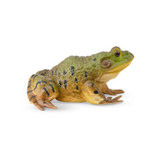 Bullfrog-Toymany  African Bullfrog Frog Collectible Statue picture