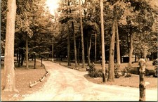 RPPC Entrance Driveway Fortune Lake Be-Wa-Bic Park Michigan MI Postcard picture
